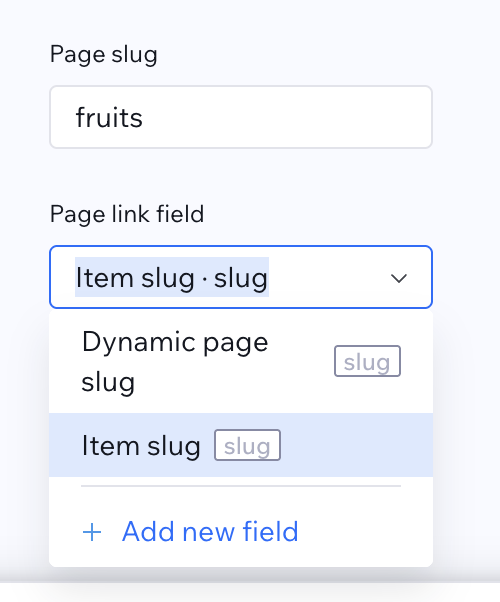 Page path auf den nativen Pfad gesetzt, Page link field auf Item slug